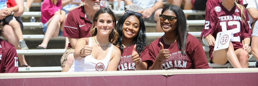 Cover image for October Webchat: Aggie One Stop (Continuing Student Scholarship App) Webchat