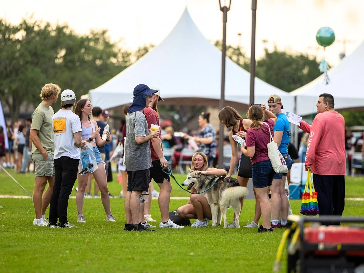 A group of students gathered and socializing at the Off Campus Student Carnival during Howdy Week. One student kneels down while petting a large Husky in the center of the group.